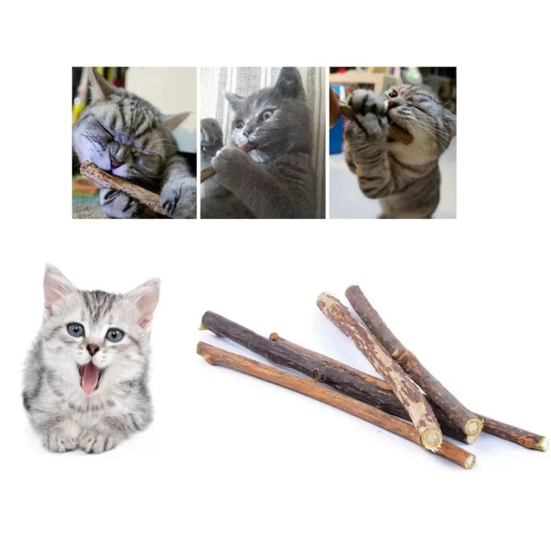 Catnip Chew Sticks 20Pcs, Natural Woodruff Cat Toys - for Teeth Cleaning & Kitten Entertainment