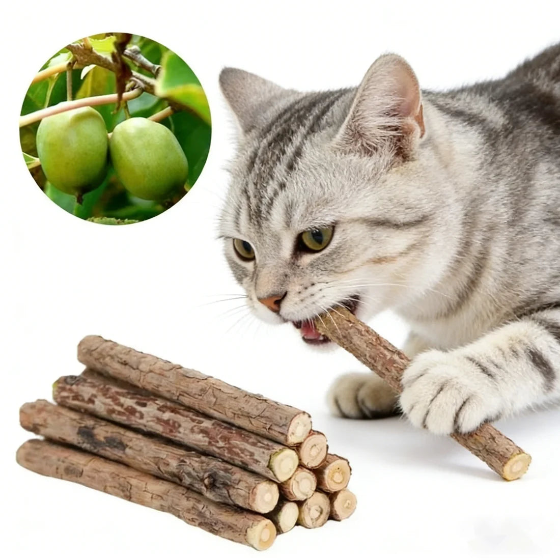 Catnip Chew Sticks 20Pcs, Natural Woodruff Cat Toys - for Teeth Cleaning & Kitten Entertainment