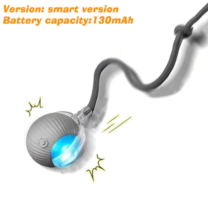 New Cat Interactive Ball Toy Automatic Rolling Cat Ball Rechargeable Smart Kitten Interactive Toy Intelligent Balls Toy for Cat