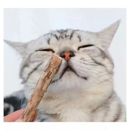 Catnip Chew Sticks 20Pcs, Natural Woodruff Cat Toys - for Teeth Cleaning & Kitten Entertainment