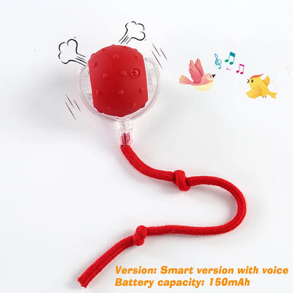 New Cat Interactive Ball Toy Automatic Rolling Cat Ball Rechargeable Smart Kitten Interactive Toy Intelligent Balls Toy for Cat