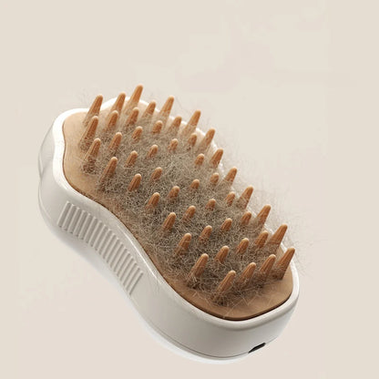 3 in 1 Electric Steam Brush Hair Removal 